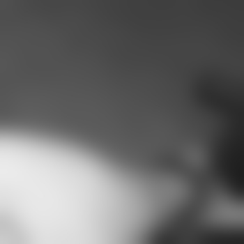 Robbe12