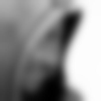 Zebrakater