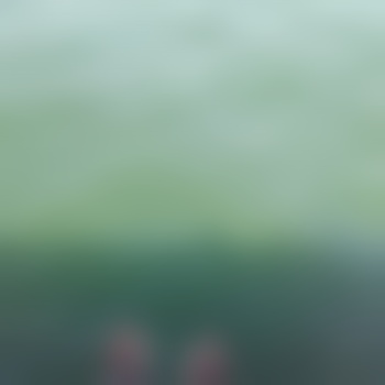 essen39539