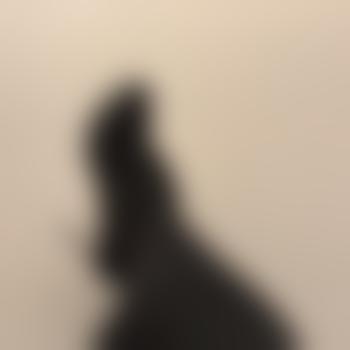 NotYourKindOfQueen