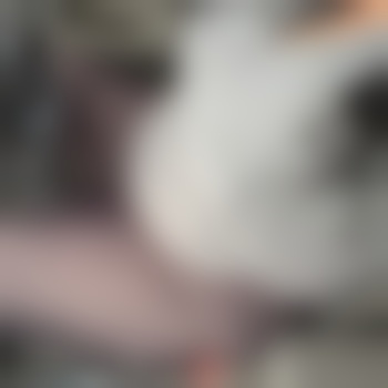 BellaRose3