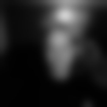 Den_81