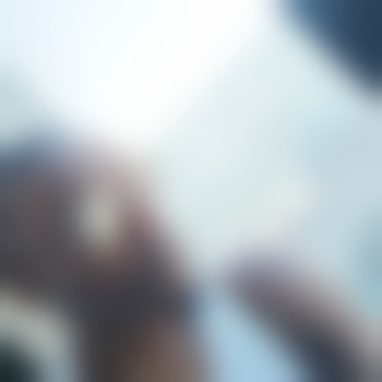 bigwill6454
