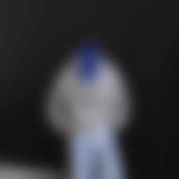 The_Shade_