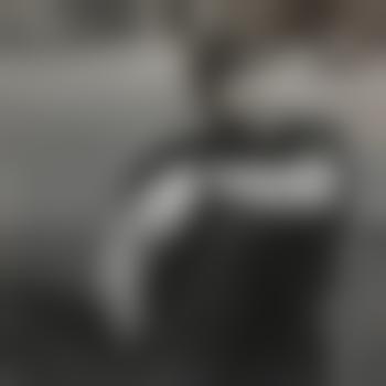 Cat13