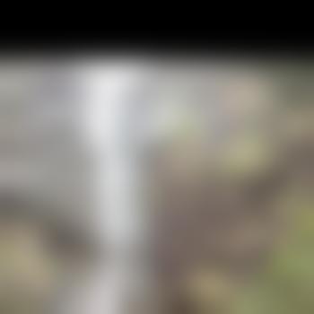 efnsnr09