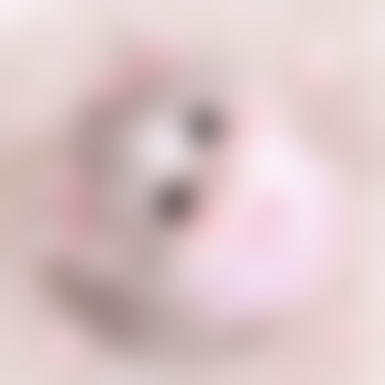 cotton_bunniie