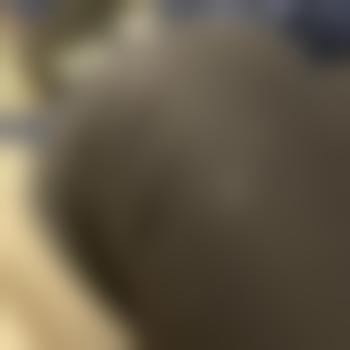 kinkyytoyy06