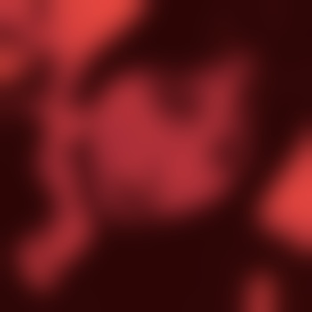 CuriousDirector