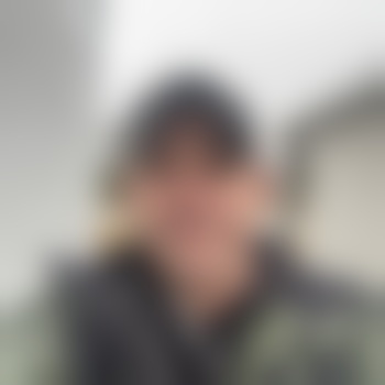 palmetto88376
