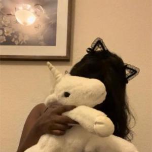 PillowPet