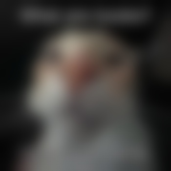chicovirgen27