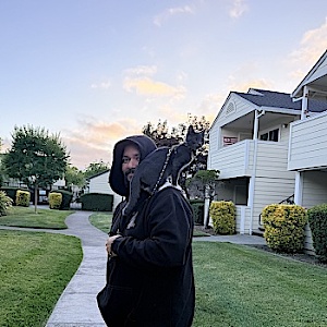 SteezyD
