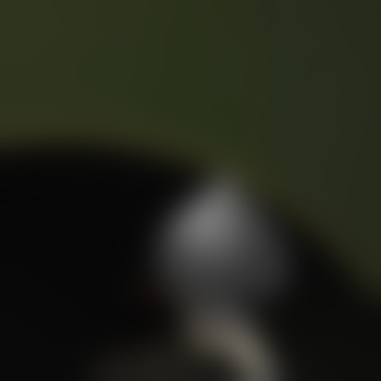 willow-grove622234