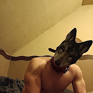 SirWolf7734