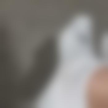 WellingtonMaster4all