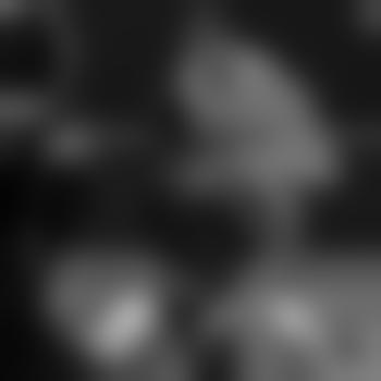DTF121355