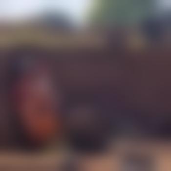 DanShaw03