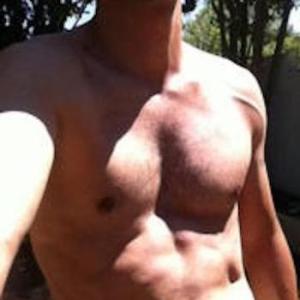 Dom_Stallion