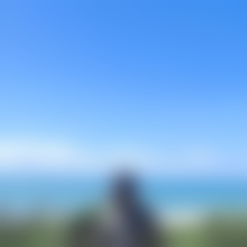Dr_Dust