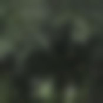 boogerm4n