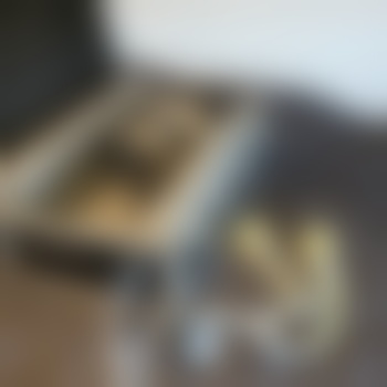 Metallschlampe