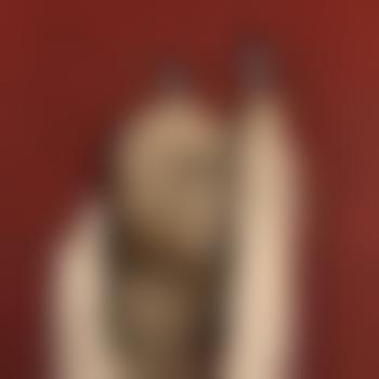 Pup_Apollo