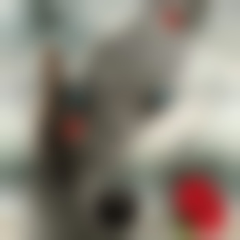 WolfBlood0951