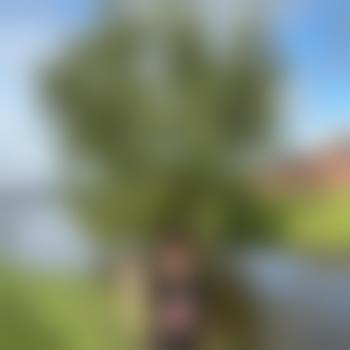 Jugmane18