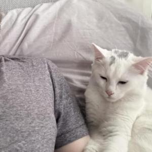 CrinkleAndCuddle
