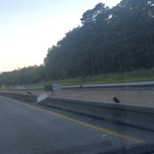 Rastplatz Sereetz Richtung Süden