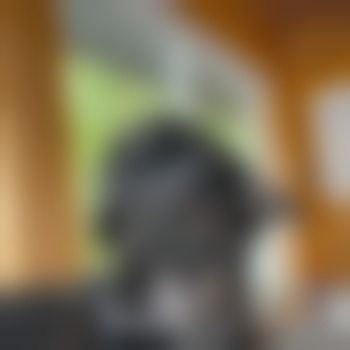 Void_G