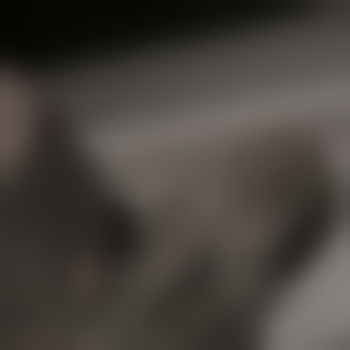 SklavenSchwein1313