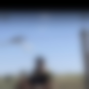 The_Wanderer00