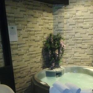 Wolf Spa