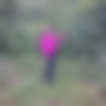 PervTransWindDogSkla