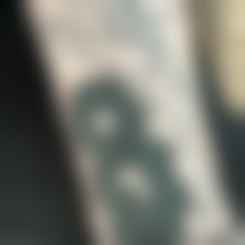 Murxel1120