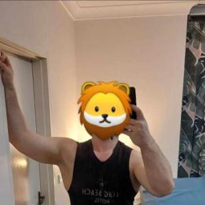 Thefetlion