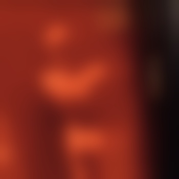 Tracer31