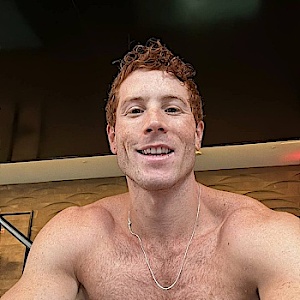 gingercock
