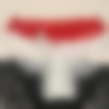 AmPantySubSissy
