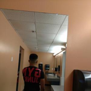 Wolfy619