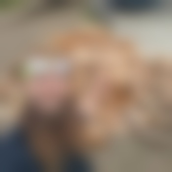 Sequimmascdom420