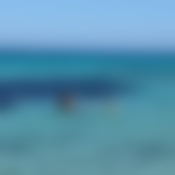Curvy_Vanilla