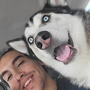 Wolfe27