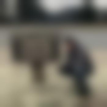 dallas311038