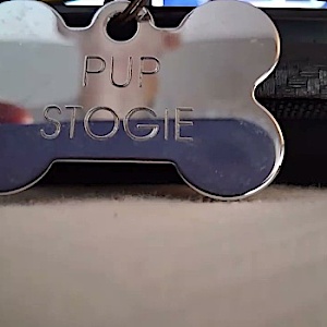 Pupstogie