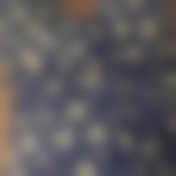 LittlePrinceTübingen