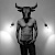 Bull4Hotwife