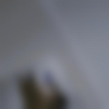Curious_Subby